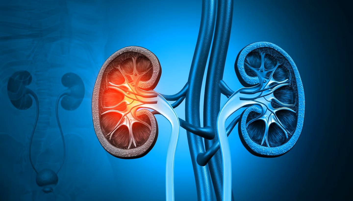 Chronic Kidney Disease Prediction